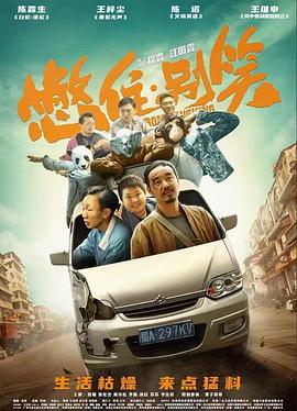 一代宗师高清完整版下载