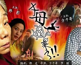 BD高清完整版HD手机在线播放